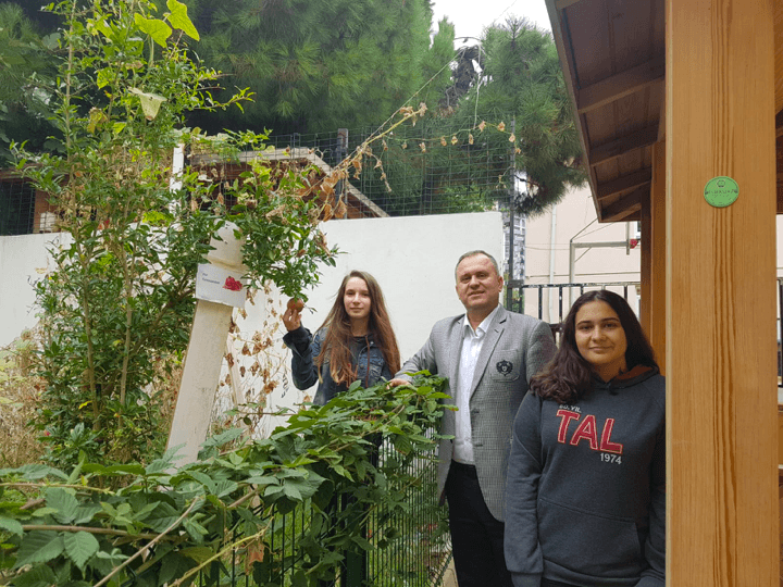 Mezbelelikten yemyeşil bir bahçe çıkardılar! - Sayfa 10