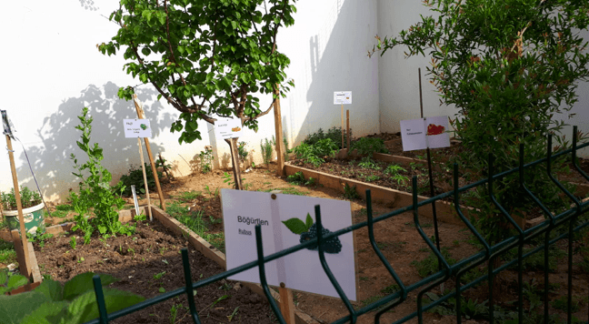 Mezbelelikten yemyeşil bir bahçe çıkardılar! - Sayfa 11