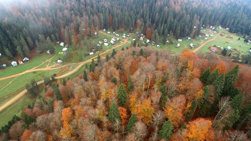 Batı Karadeniz yaylalarına veda... - Sayfa 8