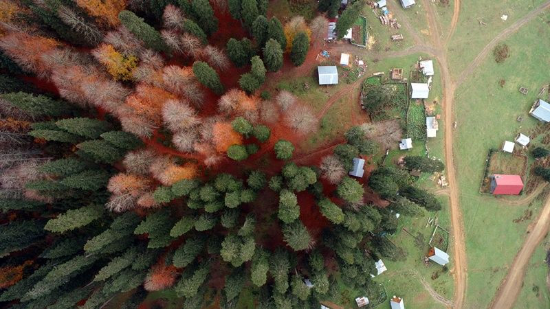 Batı Karadeniz yaylalarına veda... - Sayfa 9