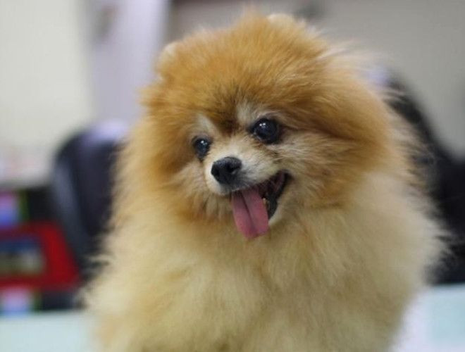 Stresi azalsın diye rol arkadaşına göğüslerini gösterdi! - Sayfa 6