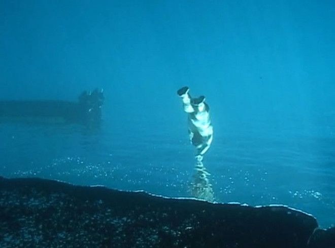 Bu adam okyanusun altında yürüyor! - Sayfa 10