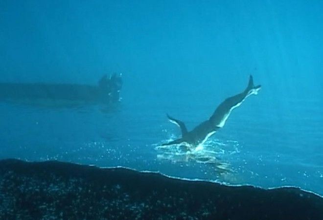 Bu adam okyanusun altında yürüyor! - Sayfa 9