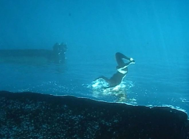 Bu adam okyanusun altında yürüyor! - Sayfa 8