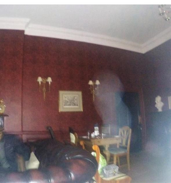 İşinden vazgeçip hayalet avcısı oldu! - Sayfa 10