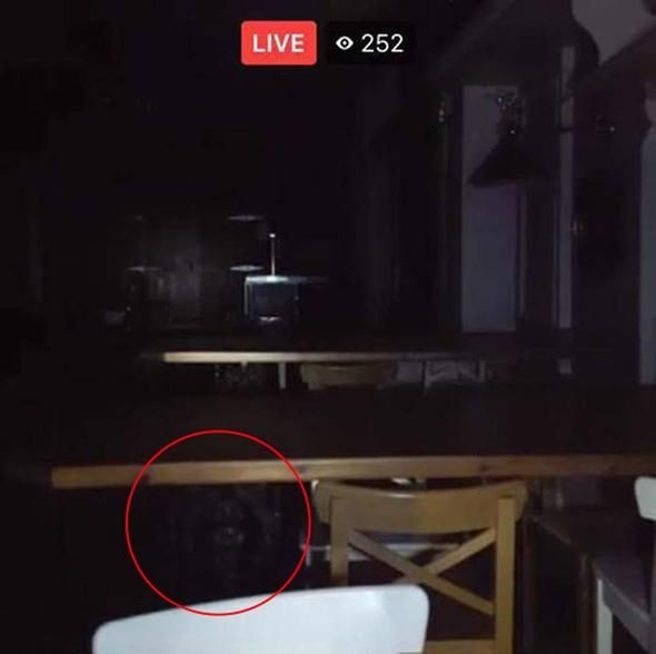 İşinden vazgeçip hayalet avcısı oldu! - Sayfa 11