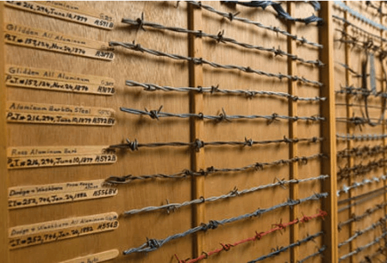 Ünlülerin iç çamaşırlarını biriktirerek müze açtı! - Sayfa 17