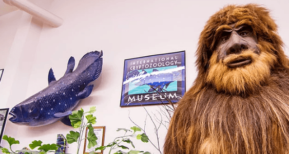 Ünlülerin iç çamaşırlarını biriktirerek müze açtı! - Sayfa 5