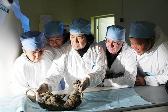 Bu yaratık tam 43 bin 500 yaşında! - Sayfa 5