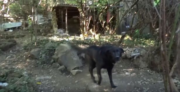 2 ay boyunca her gün tecavüze uğradı! - Sayfa 9