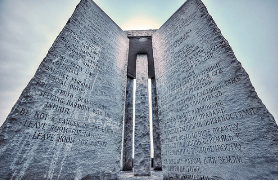 Buzulda mahsur kaldı! Kutup ayısı avlayarak sağ kaldı! - Sayfa 5