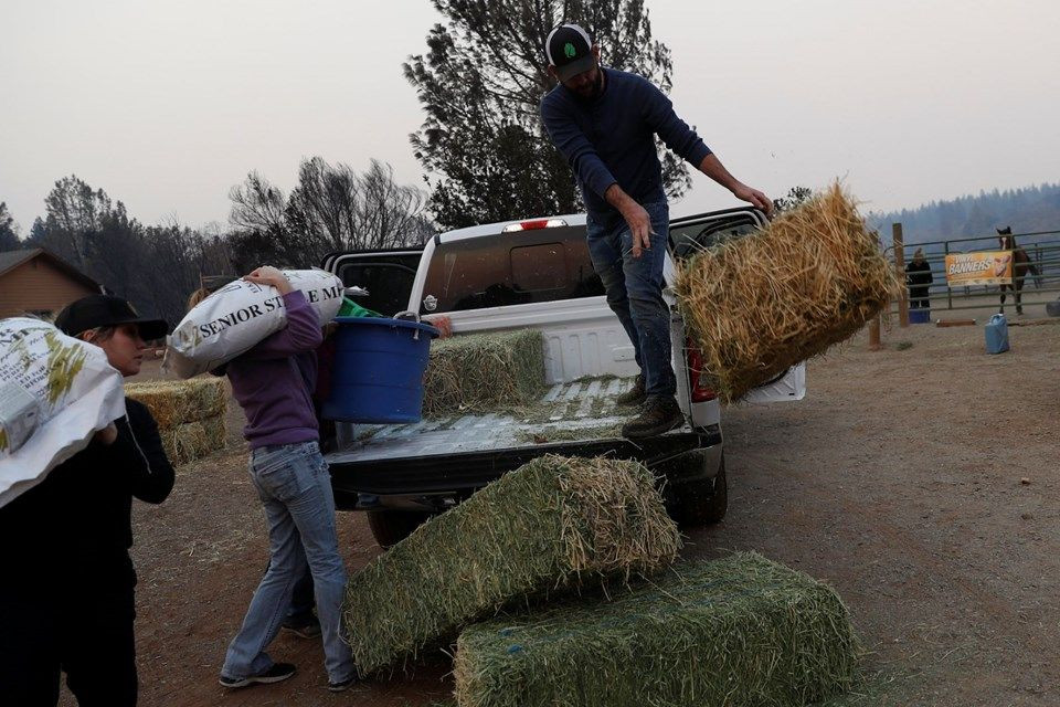 California'daki büyük yangın durdurulamıyor! - Sayfa 8