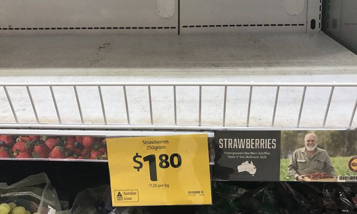 İğneli çileğin nedeni sonunda belli oldu! - Sayfa 8