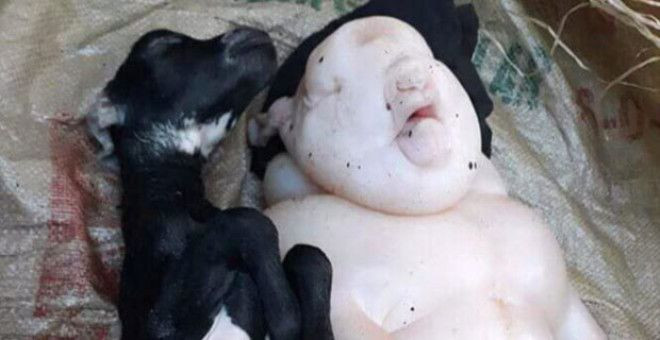 Yarı insan yarı domuz yavru halkı endişelendirdi! - Sayfa 5