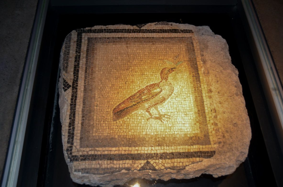 Çingene Kızı Türkiye'de... - Sayfa 7