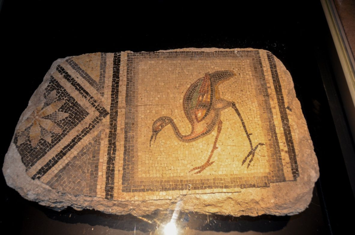 Çingene Kızı Türkiye'de... - Sayfa 8