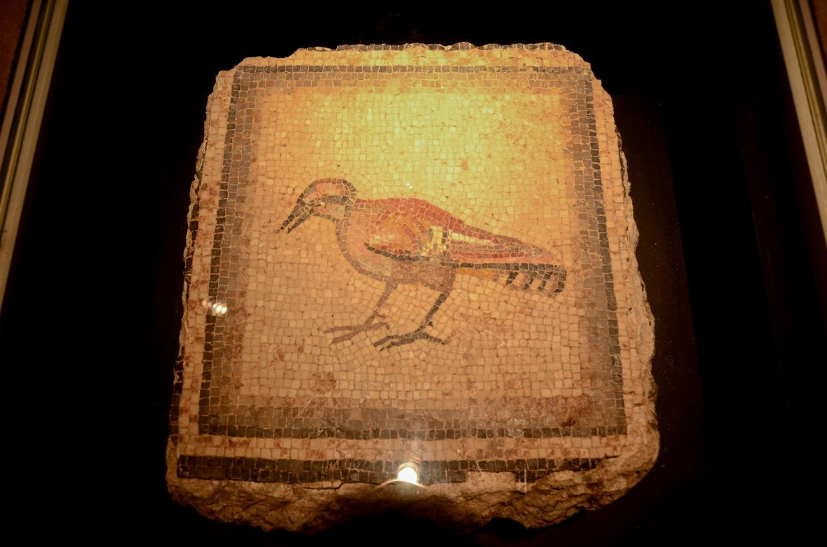 Çingene Kızı Türkiye'de... - Sayfa 16