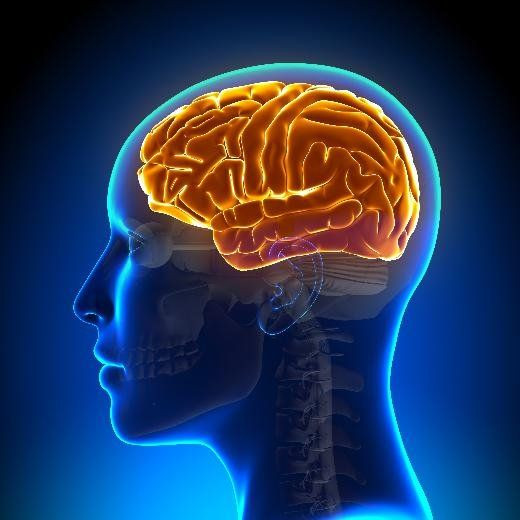 Orgazm sırasında beyin uyuşturucu salgılıyor! - Sayfa 14