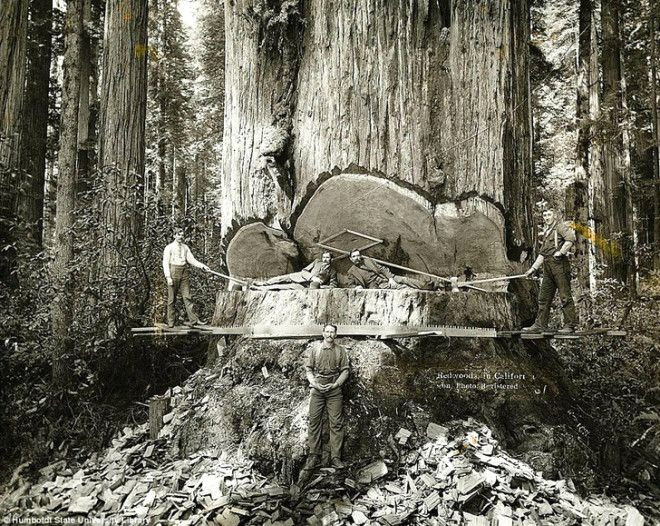 Tarihin tozlu sayfalarından ilginç kareler! - Sayfa 15