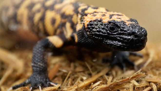 Nostradamus'un 2019 kehanetleri ortaya çıktı! - Sayfa 6