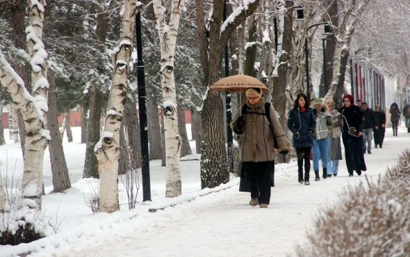 Erzurum'da kartpostallık kar manzaraları! - Sayfa 16