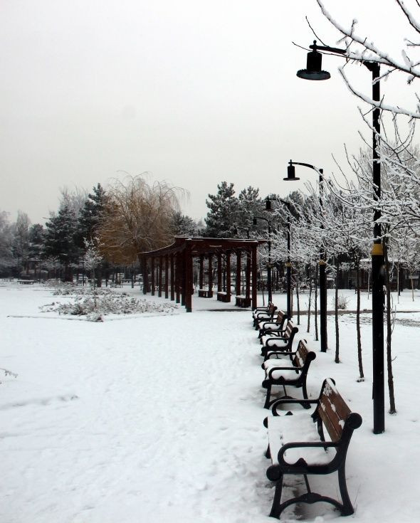 Erzurum'da kartpostallık kar manzaraları! - Sayfa 10