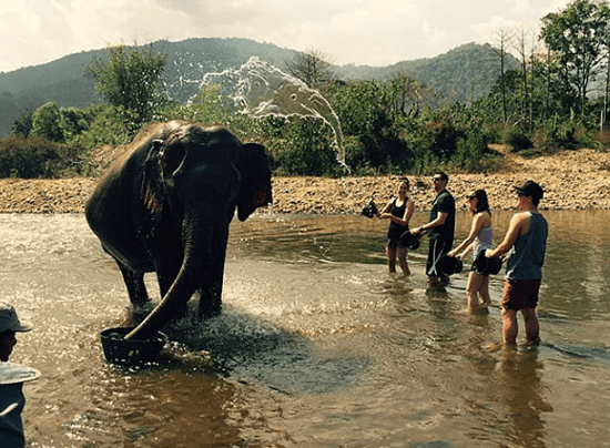 Bu semboller görenleri kahkahaya boğuyor! - Sayfa 17