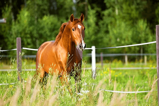 Kendi kanınızda altın, Satürn'de ise elmas bulabilirsiniz! - Sayfa 14