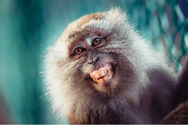 Kendi kanınızda altın, Satürn'de ise elmas bulabilirsiniz! - Sayfa 8