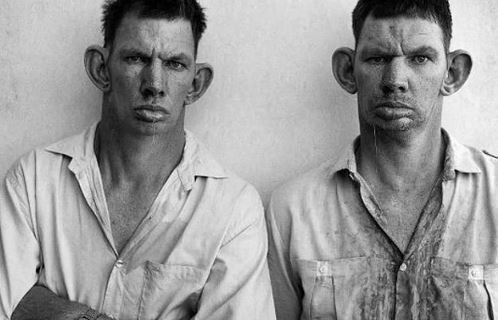 Suçlarıyla Palu Ailesi'ni bile geride bıraktılar! - Sayfa 10