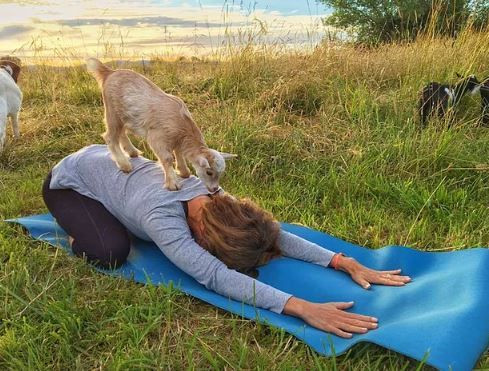 Okuldan ödev istediler! Nükleer bomba yaptı - Sayfa 17