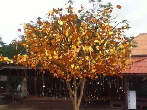 Okuldan ödev istediler! Nükleer bomba yaptı - Sayfa 8