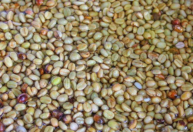 Sağlıksız alışkanlığın ilacı kuru fasulye! - Sayfa 7