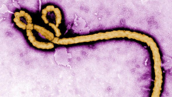 Organlar iflas ediyor, vücuttan kanlar akıyor! - Sayfa 9