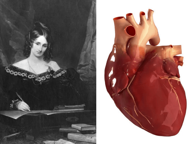 Bir maç yüzünden çıkan savaşta 2 bin kişi öldü! - Sayfa 10