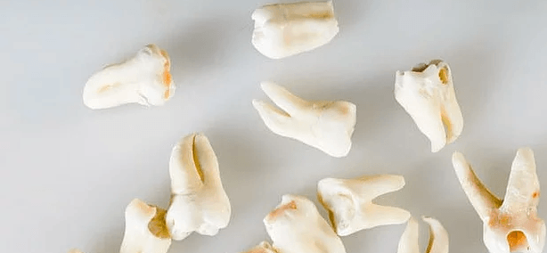 Bir maç yüzünden çıkan savaşta 2 bin kişi öldü! - Sayfa 15