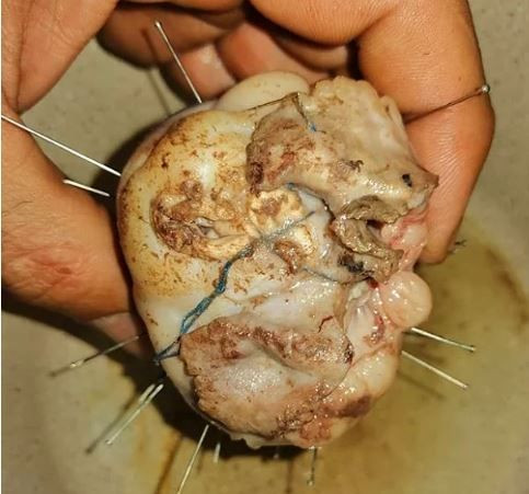 Cinler sosyal medyaya musallat oldu! - Sayfa 20