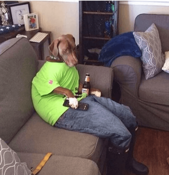 Bu fotoğraflara kimse anlam veremiyor! - Sayfa 10