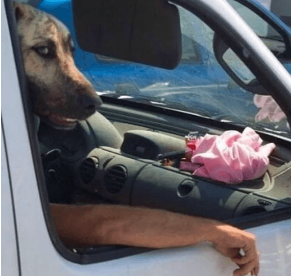 Bu fotoğraflara kimse anlam veremiyor! - Sayfa 11