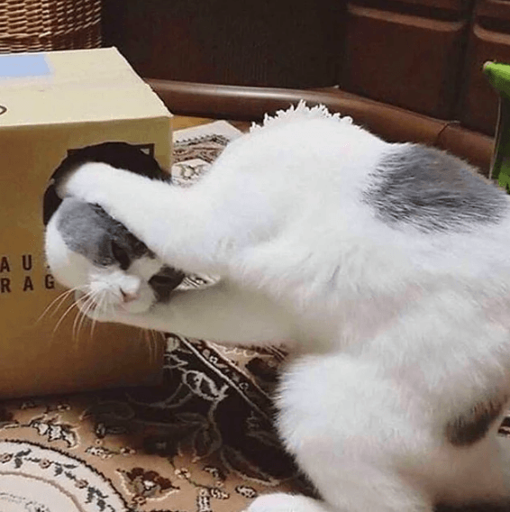 Bu fotoğraflara kimse anlam veremiyor! - Sayfa 14