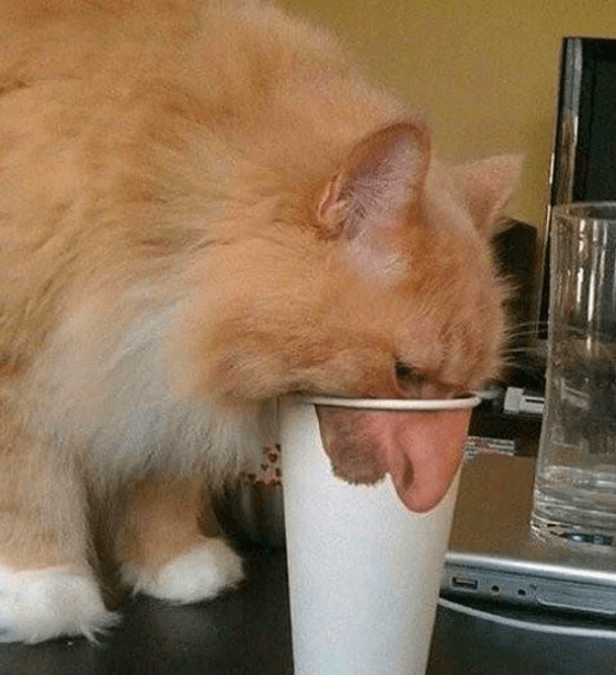 Bu fotoğraflara kimse anlam veremiyor! - Sayfa 5