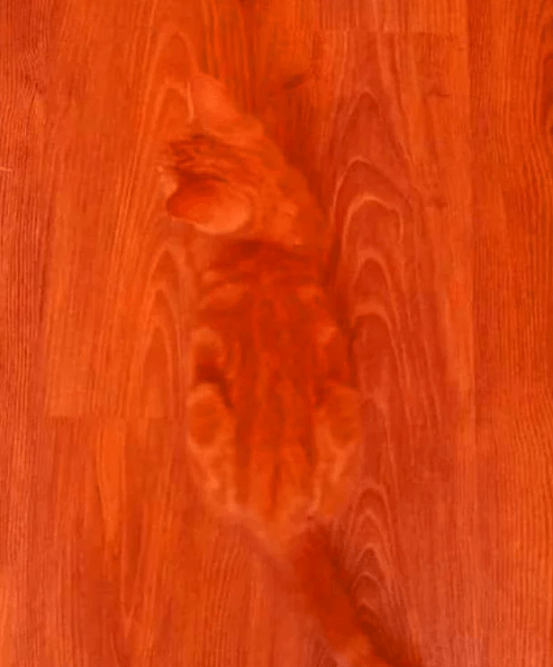 Bu fotoğraflara kimse anlam veremiyor! - Sayfa 6