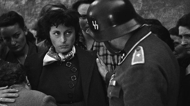 İlber Ortaylı'dan 'cahiller' için reçete! - Sayfa 20