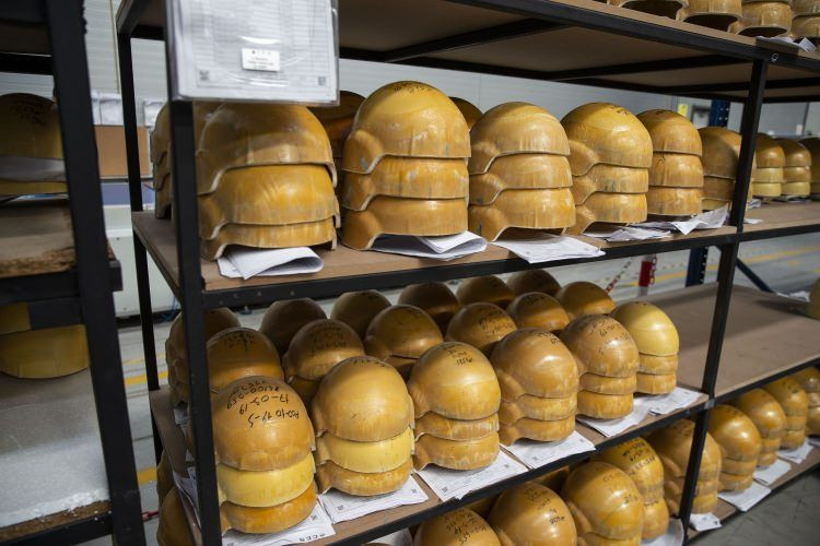 Avrupa askerini Türk miğferi ile koruyor! - Sayfa 18