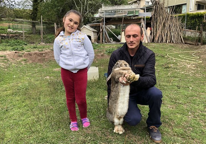 Kırmızı ete alternatif: 12 kiloluk dev tavşanlar! - Sayfa 5