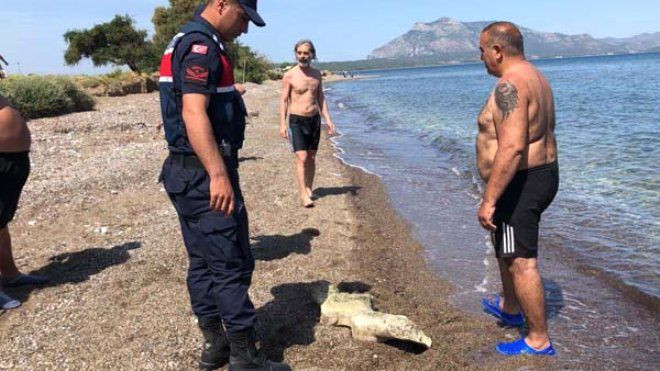 Muğla'da bulundu, hemen jandarmaya haber verildi! - Sayfa 6