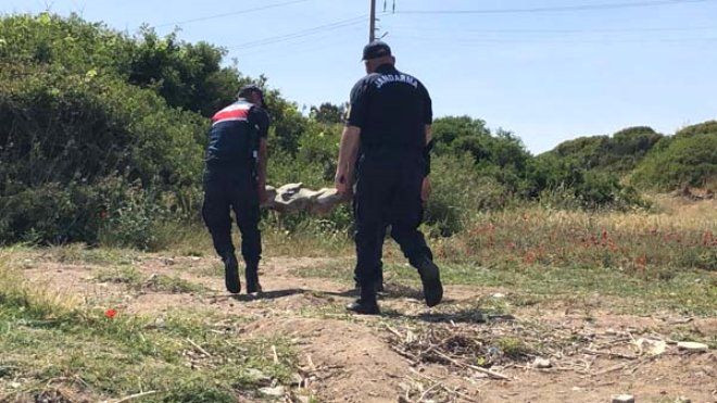 Muğla'da bulundu, hemen jandarmaya haber verildi! - Sayfa 9