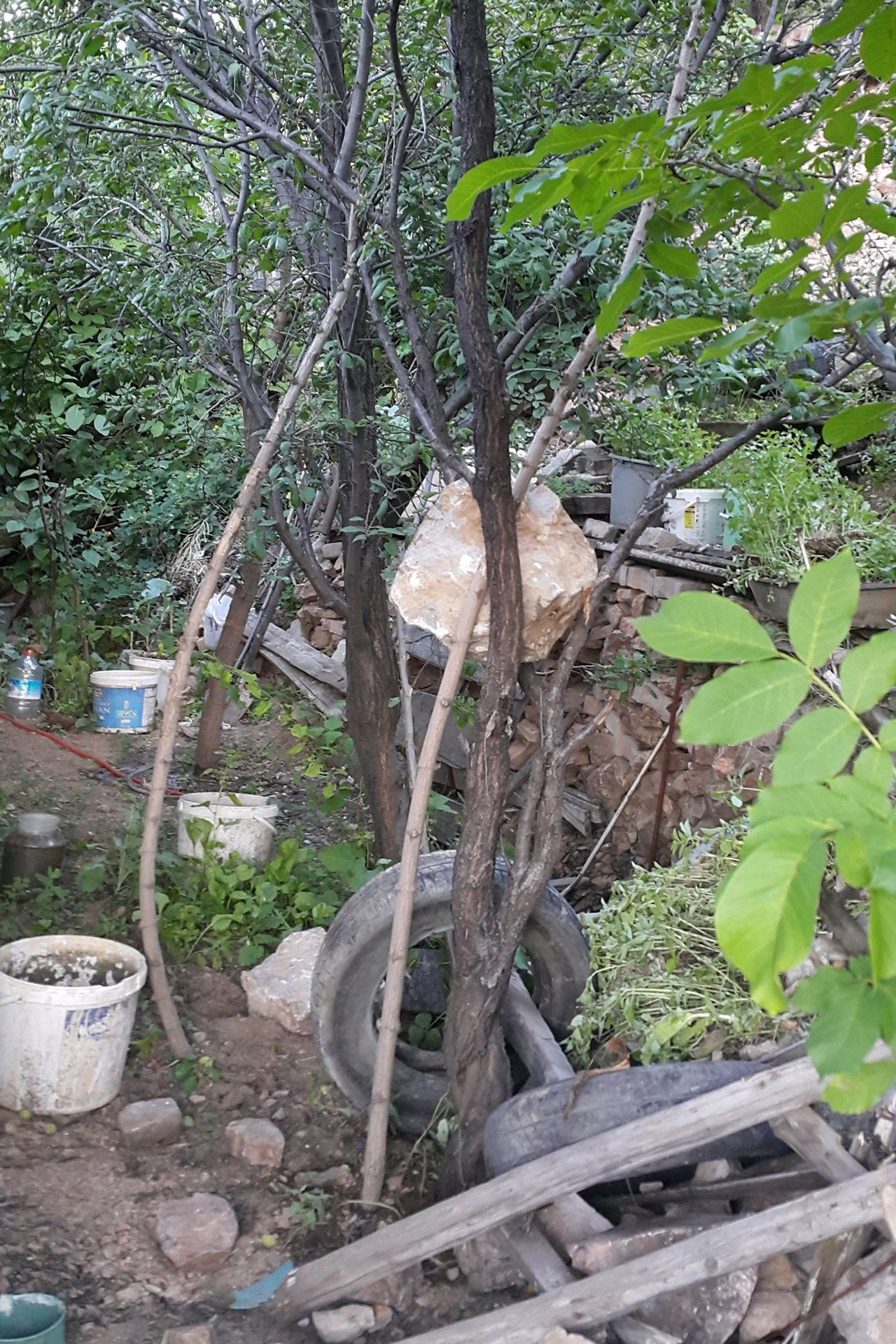 Dev kayalar 630 metreden yuvarlandı... - Sayfa 9