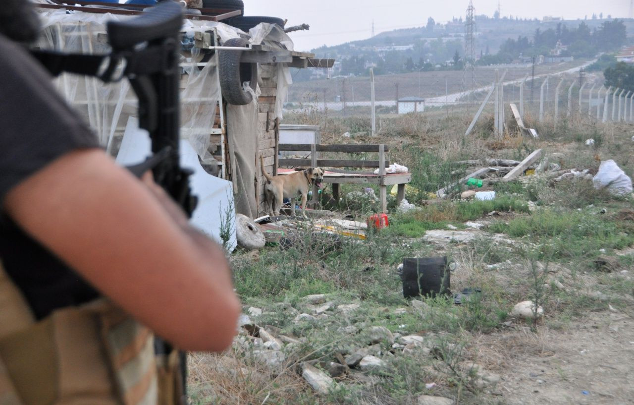 Villanın dört bir yanı pitbullarla korunuyor! - Sayfa 6