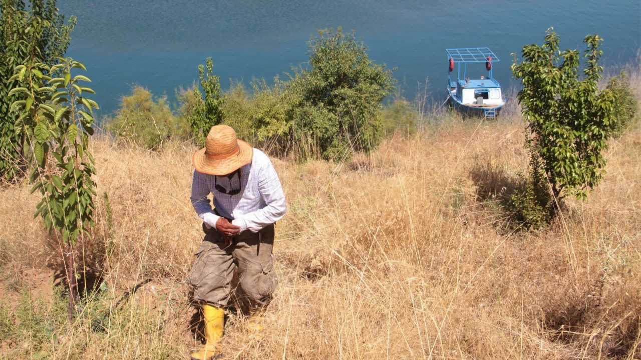 Adada tek başına yaşıyor! - Sayfa 5
